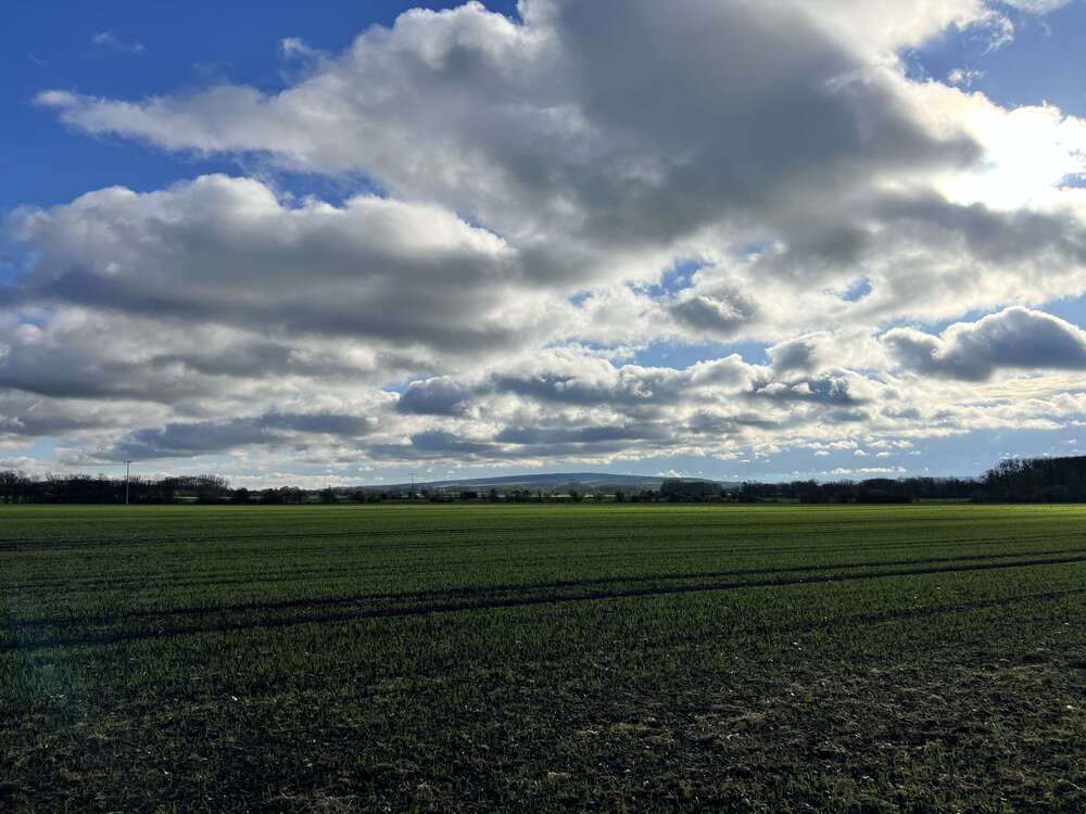 Thumbnail-Grundstück zu verkaufen in Schloßvippach 105.000,00 € 700 m²