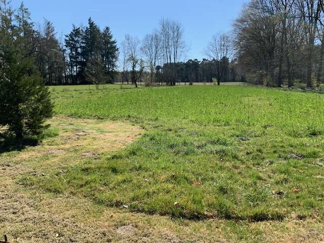 Thumbnail-Haus zum Kaufen in Ladbergen 690.000,00 € 155 m²