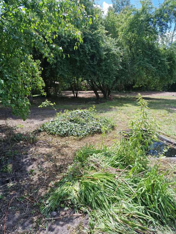 Thumbnail-Grundstück zu verkaufen in Falkensee 360.000,00 € 1211 m²