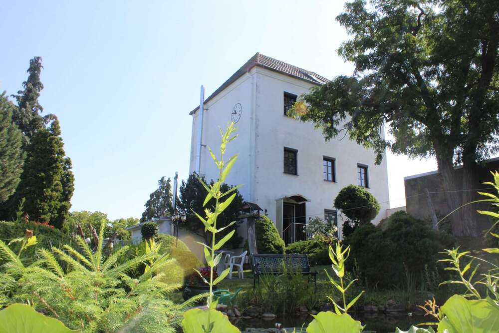 Thumbnail-Haus zum Kaufen in Roitzsch 459.000,00 € 260 m²