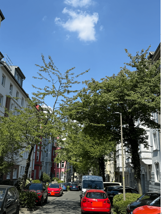 Thumbnail-Wohnung zum Kaufen in Dortmund 649.000,00 € 160 m²