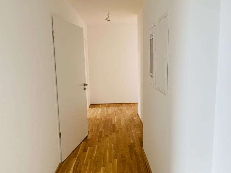 Thumbnail-Wohnung zum Mieten in Hanau 1.273,00 € 98.11 m²