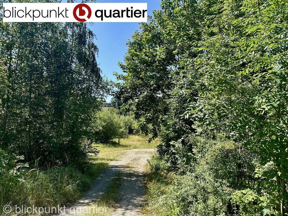 Thumbnail-Grundstück zu verkaufen in Wildenfels 379.000,00 € 6662 m²