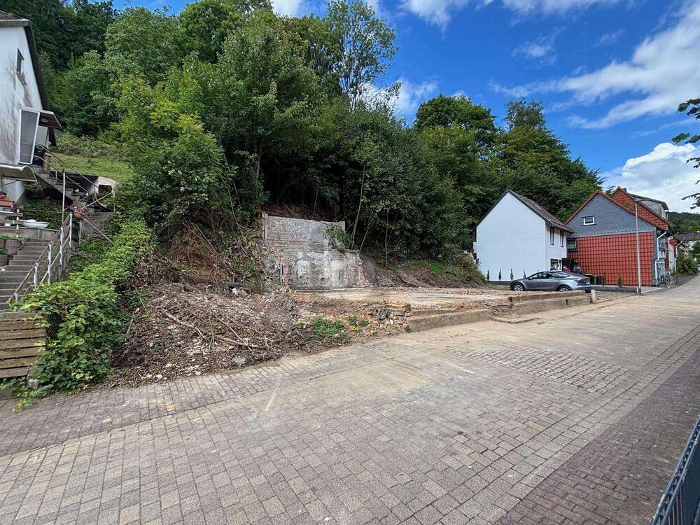 Thumbnail-Grundstück zu verkaufen in Bad Grund (Harz) 55.000,00 € 4526 m²