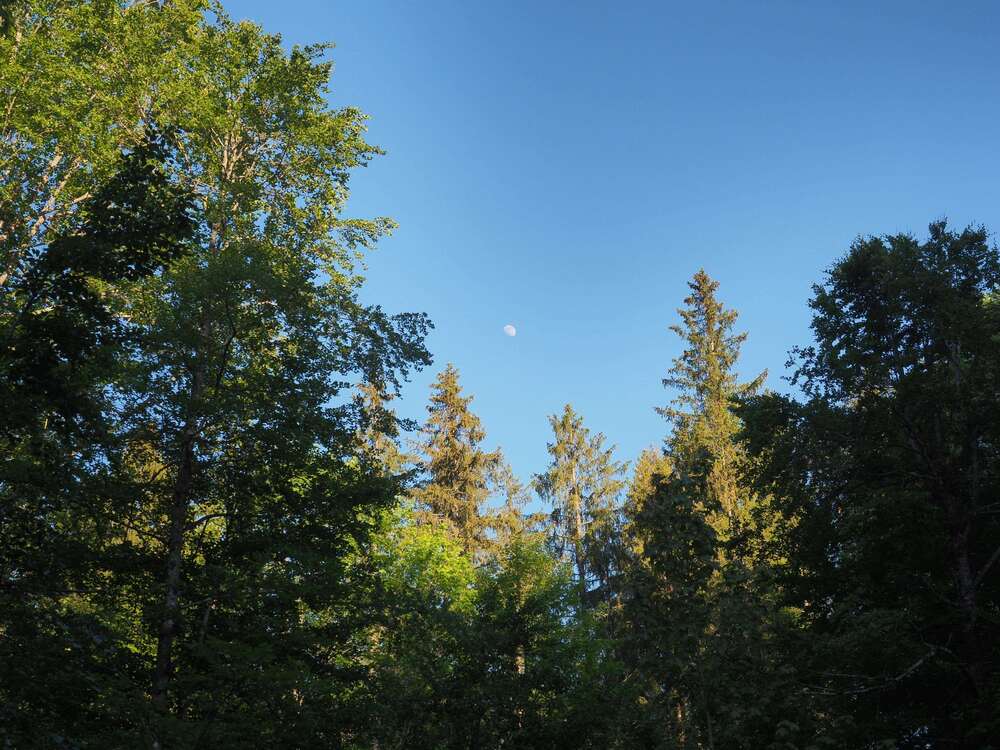 Thumbnail-Grundstück in Schliersee 180.000,00 € 40850 m²