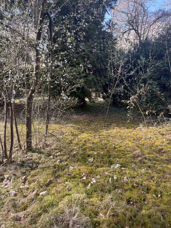 Thumbnail-Grundstück zu verkaufen in Schulzendorf 270.000,00 € 1133 m²