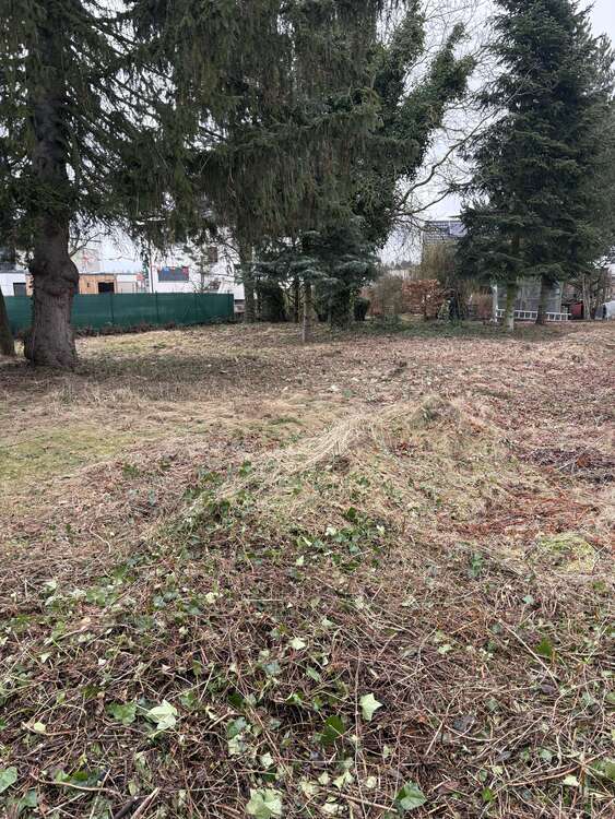 Thumbnail-Grundstück zu verkaufen in Leipzig 209.000,00 € 800 m²