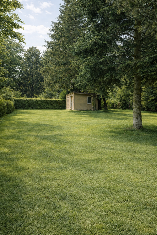 Thumbnail-Grundstück zu verkaufen in Leipzig 209.000,00 € 800 m²