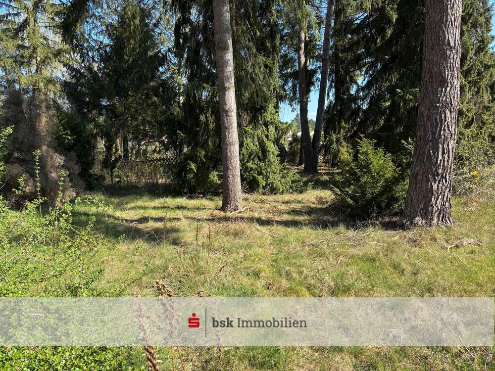 Thumbnail-Grundstück zu verkaufen in PetershagenEggersdorf 250.000,00 € 604 m²