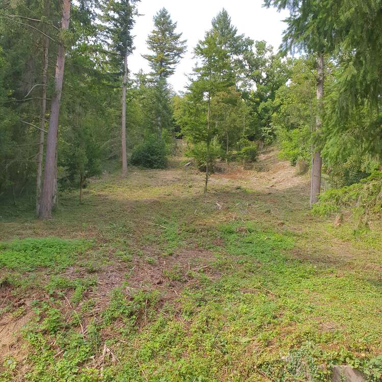 Thumbnail-Grundstück zu verkaufen in Kieselbronn 39.900,00 € 2360 m²