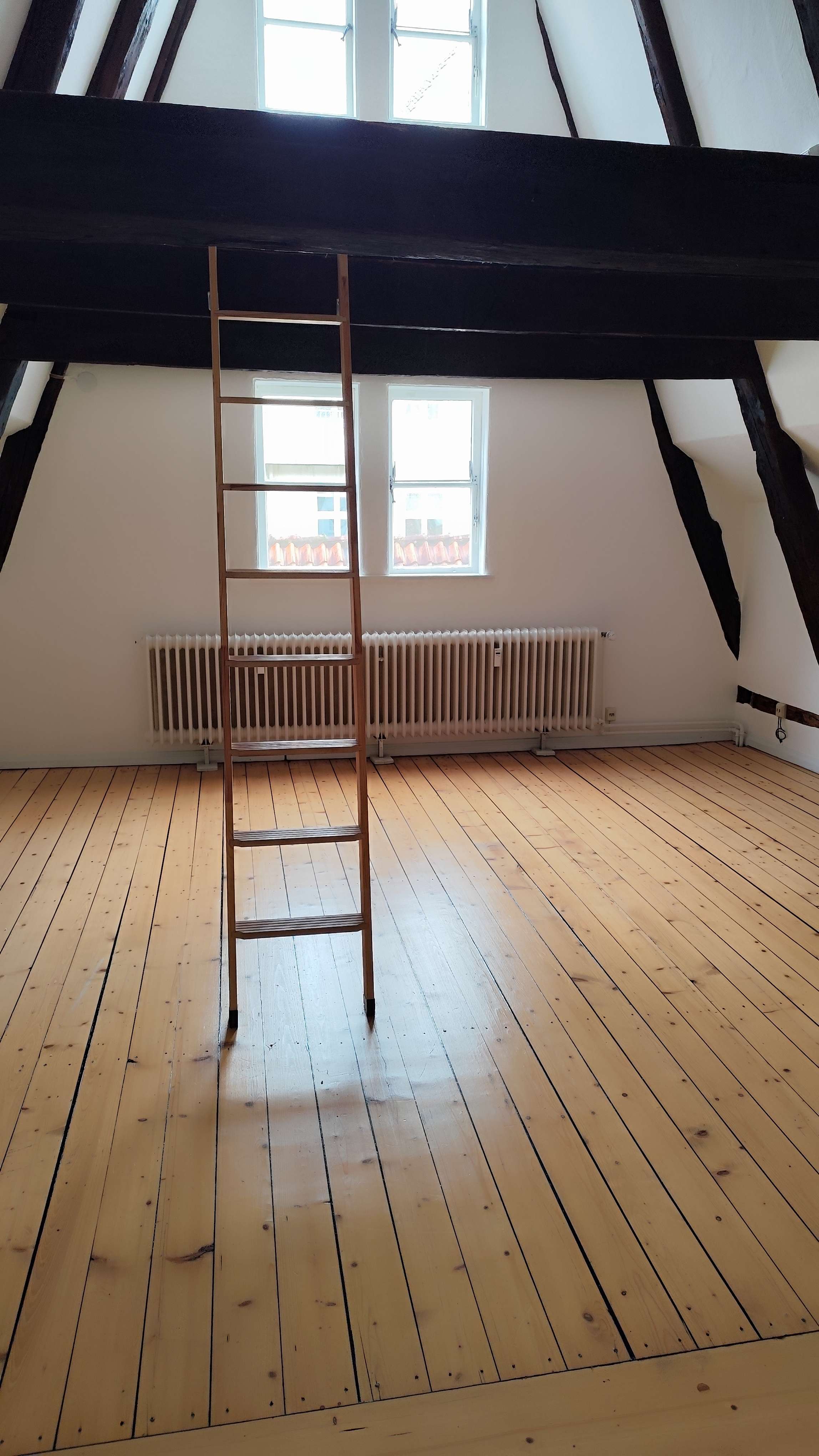 Thumbnail-Wohnung zum Mieten in Bremen 454,00 € 24 m²