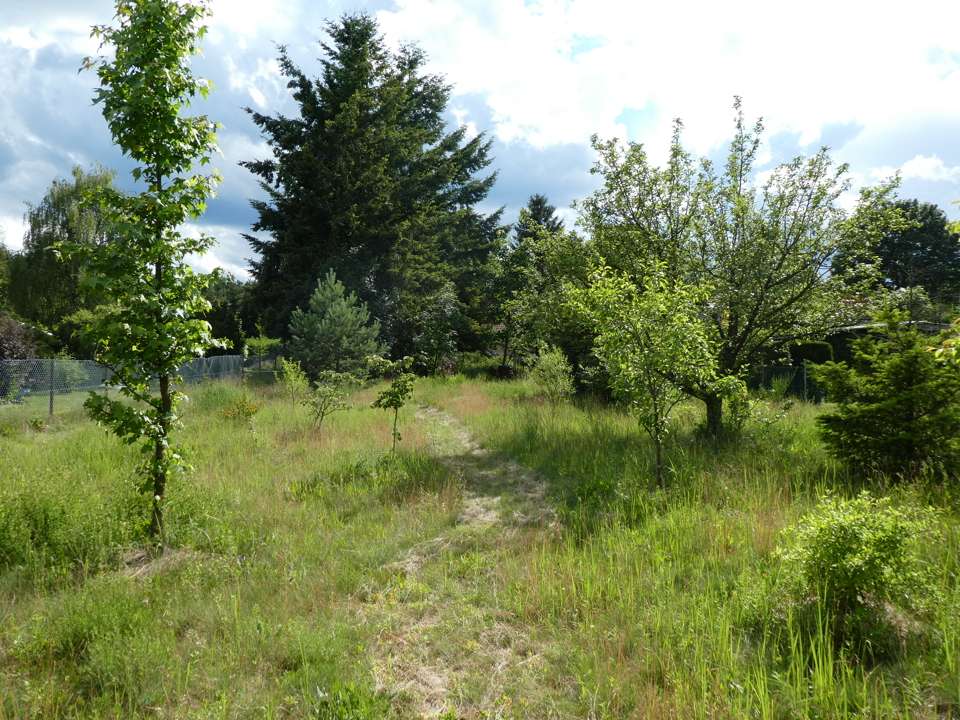 Thumbnail-Grundstück zu verkaufen in Rüdersdorf 160.000,00 € 1569 m²