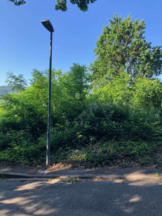 Thumbnail-Grundstück zu verkaufen in Gernsbach 220.000,00 € 714 m²