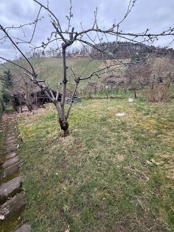 Thumbnail-Grundstück zu verkaufen in Stuttgart 25.000,00 € 542 m²