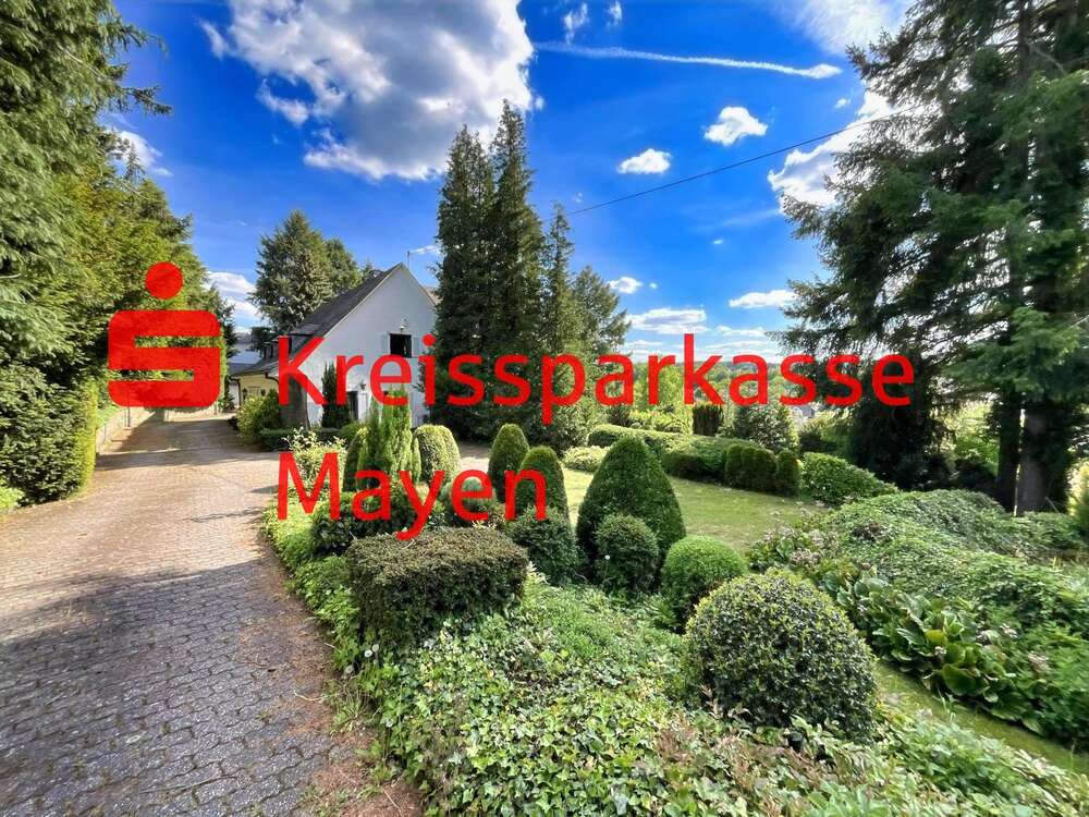 Thumbnail-Haus zum Kaufen in Mayen 695.000,00 € 280 m²