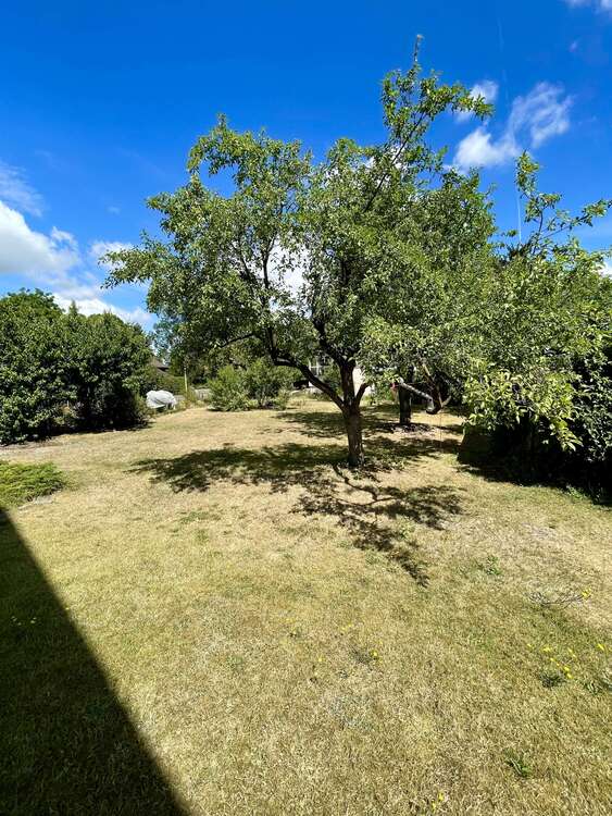 Thumbnail-Haus zum Kaufen in Wrestedt 233.000,00 € 133 m²