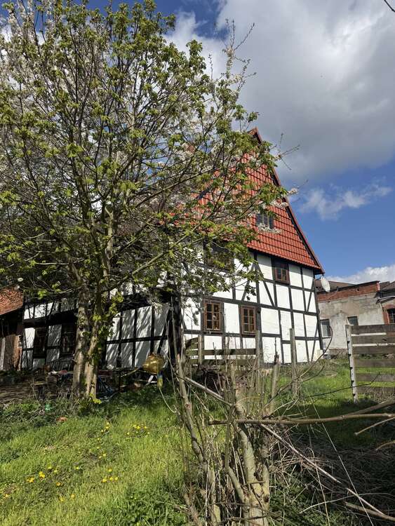 Thumbnail-Haus zum Kaufen in Kalefeld 119.000,00 € 225 m²