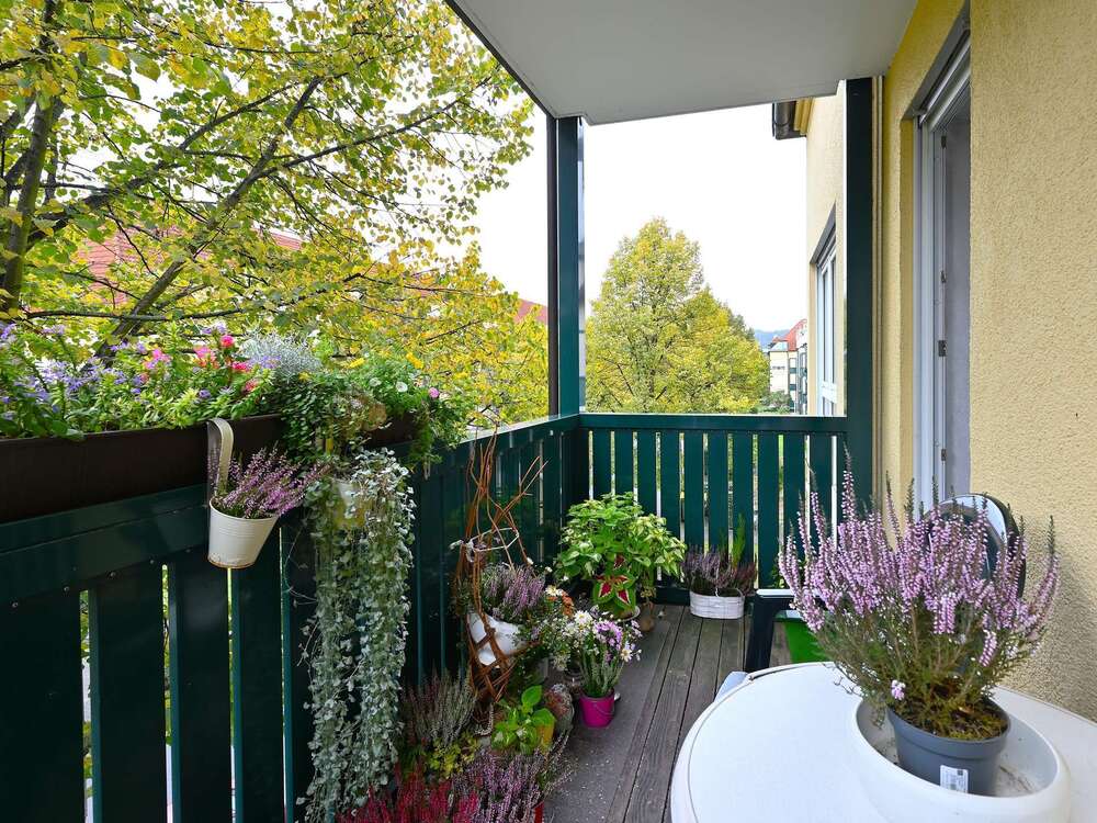 Thumbnail-Wohnung zum Kaufen in Dresden 136.000,00 € 57.02 m²