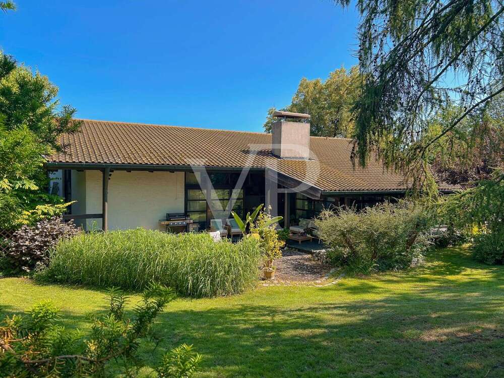 Thumbnail-Haus zum Kaufen in Pfaffenhofen an der Ilm 1.498.000,00 € 229 m²