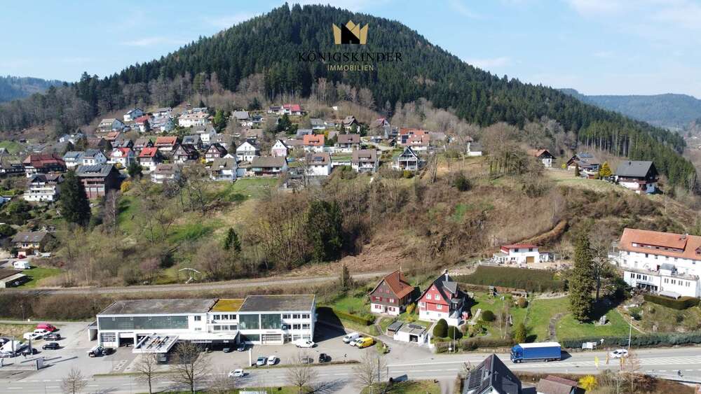 Thumbnail-Grundstück zu verkaufen in Alpirsbach 79.000,00 € 798 m²