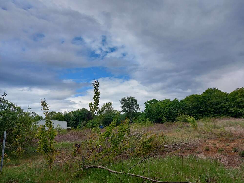 Thumbnail-Grundstück zu verkaufen in Bremen 699.000,00 € 1740 m²