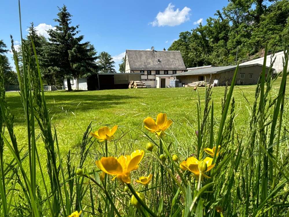 Thumbnail-Haus zum Kaufen in Colditz 163.000,00 € 138 m²