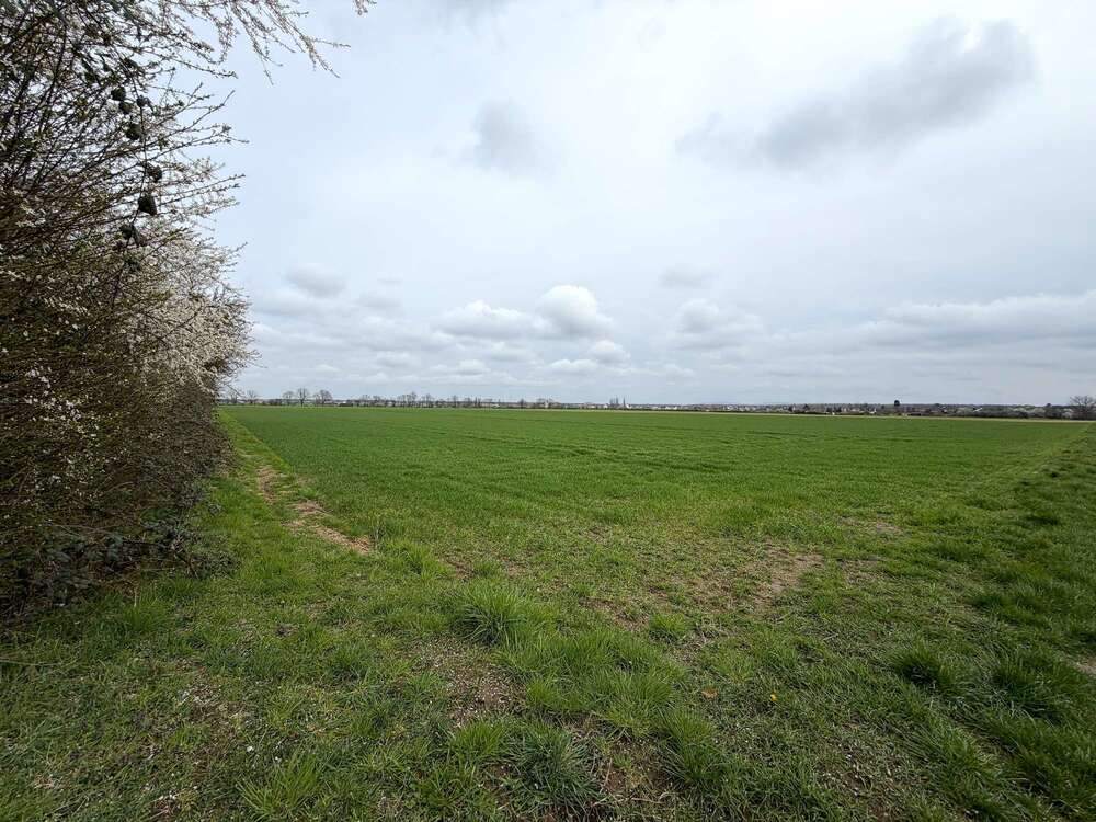 Thumbnail-Grundstück in Rodgau 27.500,00 € 6087 m²