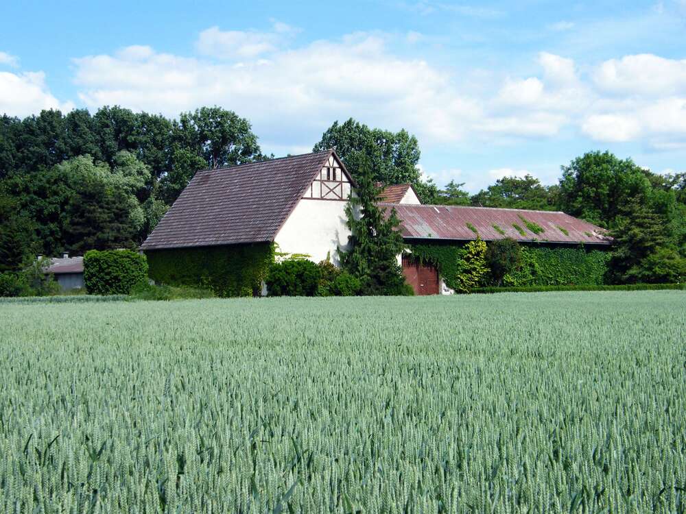 Thumbnail-Haus zum Kaufen in Pfungstadt 999.000,00 € 196 m²