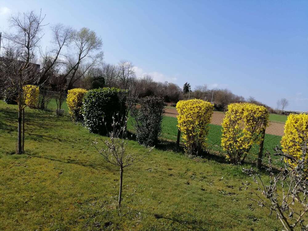 Thumbnail-Grundstück zu verkaufen in Ditzingen 39.900,00 € 1400 m²