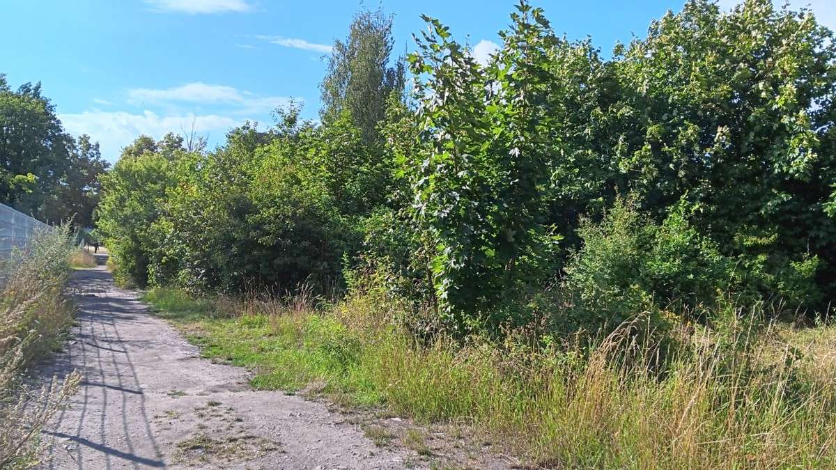 Thumbnail-Grundstück in Saalfeld 71.500,00 € 2489 m²