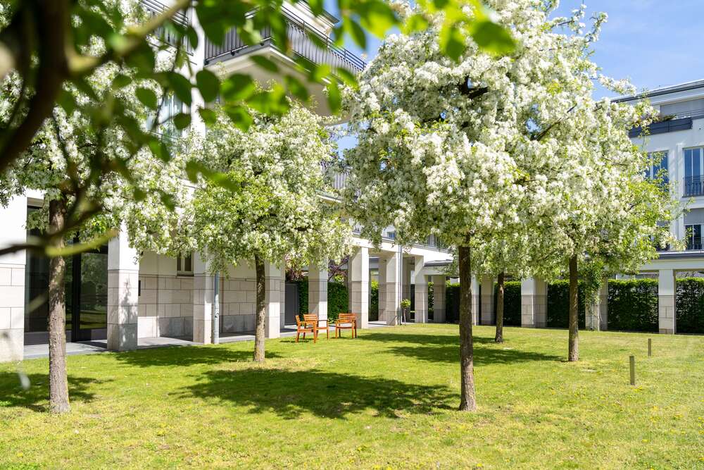 Thumbnail-Wohnung zum Kaufen in Münster 1.130.000,00 € 126.06 m²