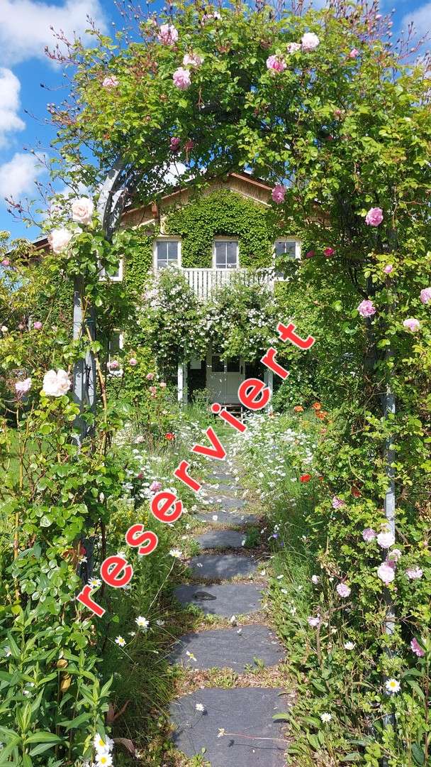 Thumbnail-Haus zum Kaufen in Bad Doberan 610.000,00 € 168 m²