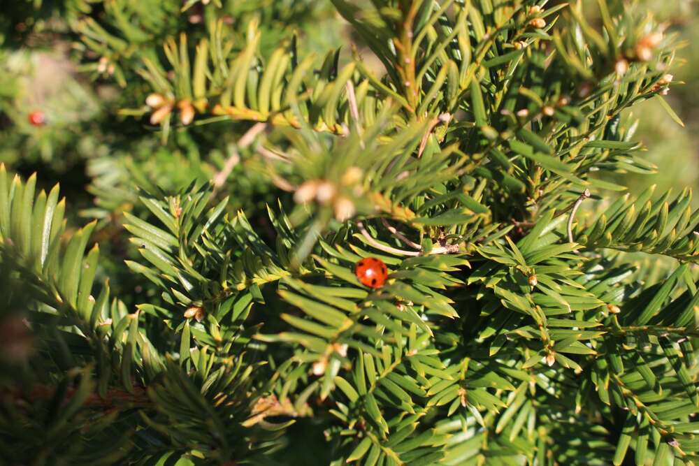 Thumbnail-Haus zum Kaufen in Altlandsberg 595.000,00 € 216 m²