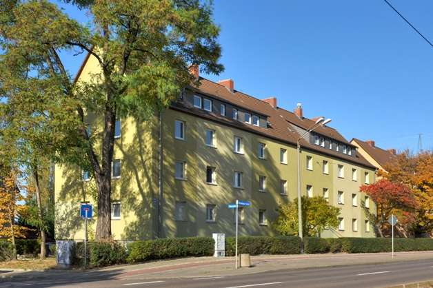 Thumbnail-Wohnung zum Mieten in Halle 294,00 € 42.01 m²