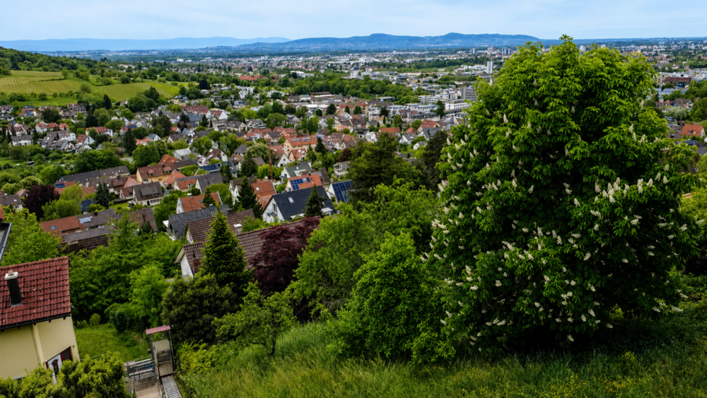 Thumbnail-Grundstück zu verkaufen in Merzhausen 1.000.000,00 € 770 m²
