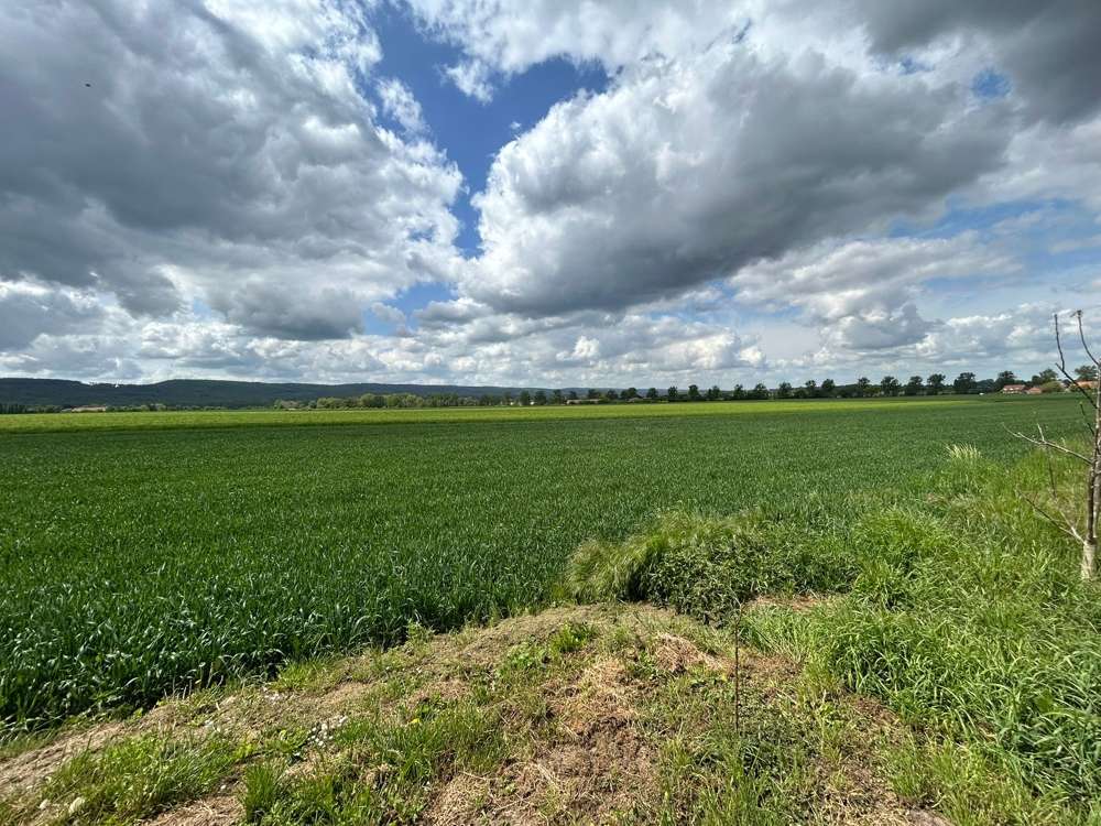 Thumbnail-Grundstück zu verkaufen in Holtensen 172.000,00 € 1700 m²