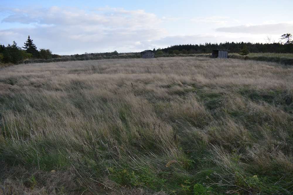 Thumbnail-Grundstück zu verkaufen in Langenhorn 35.000,00 € 2334 m²