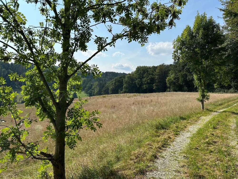 Thumbnail-Grundstück in Moosthenning 283.000,00 € 18230 m²