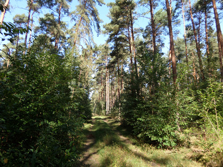 Thumbnail-Grundstück zu verkaufen in Hohennauen 541.000,00 € 360000 m²