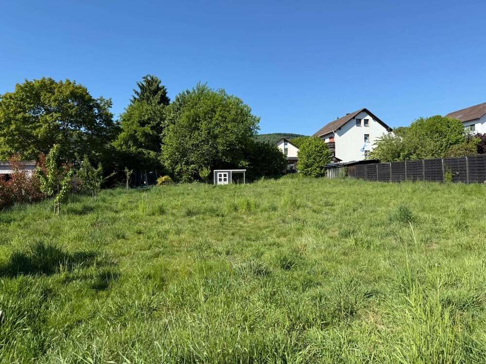 Thumbnail-Grundstück zu verkaufen in Lügde Elbrinxen 69.000,00 € 1250 m²