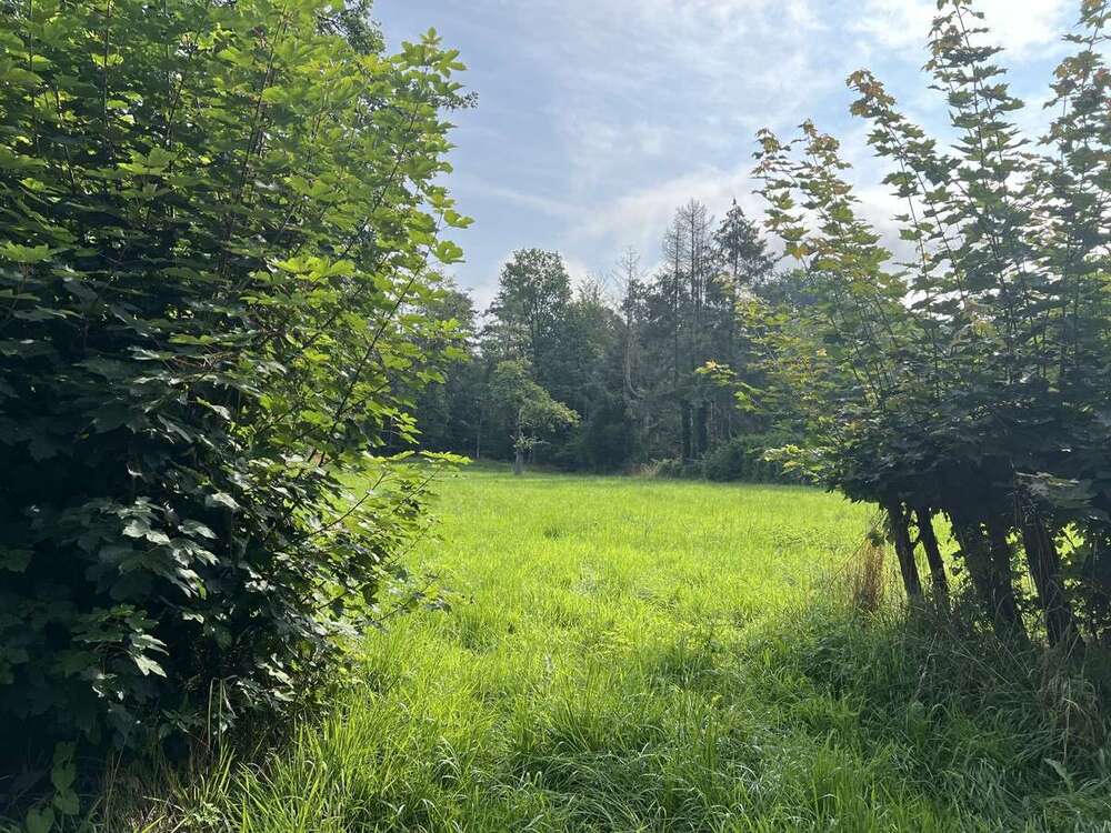 Thumbnail-Grundstück zu verkaufen in Rehburg-Loccum 140.000,00 € 2264 m²