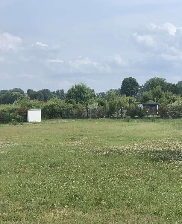 Thumbnail-Haus zum Kaufen in Rheingönheim 562.000,00 € 153 m²