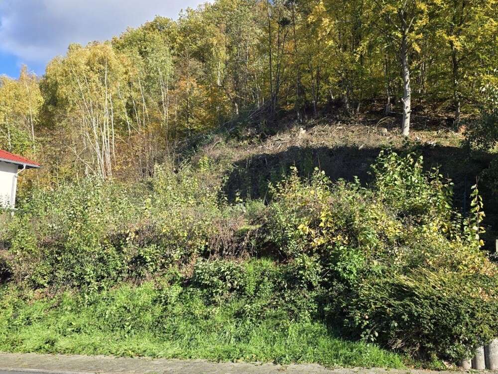 Thumbnail-Grundstück zu verkaufen in Breuberg Sandbach 119.000,00 € 590 m²