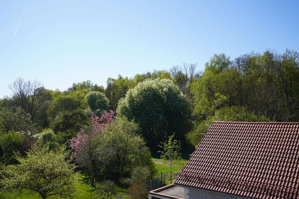 Thumbnail-Wohnung zum Mieten in München 1.450,00 € 65.8 m²