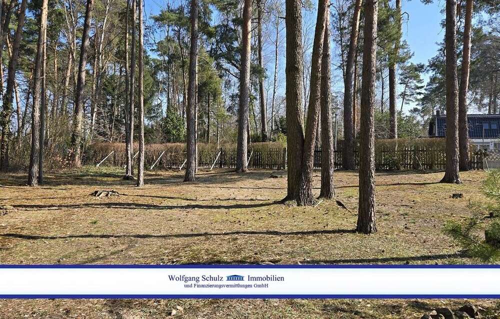 Thumbnail-Grundstück zu verkaufen in Blankenfelde 225.000,00 € 900 m²