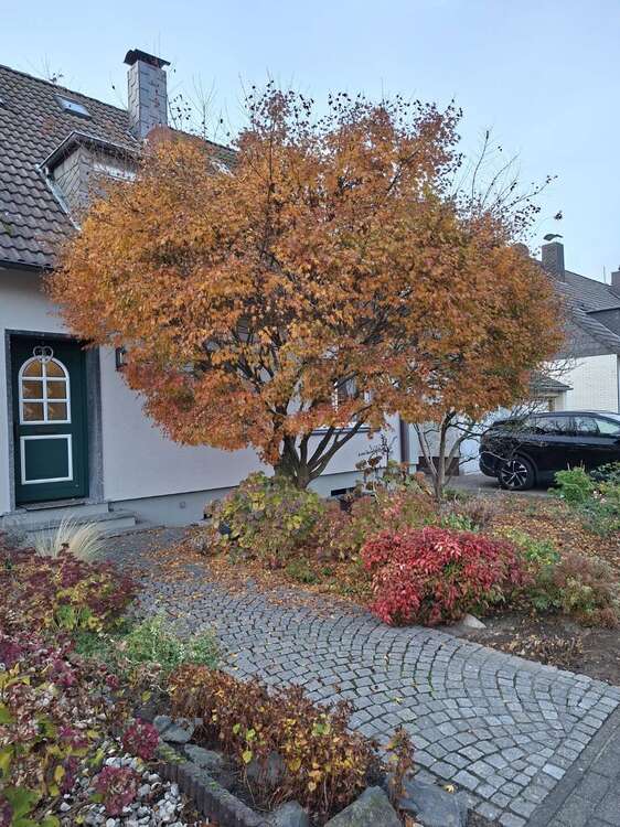 Thumbnail-Haus zum Kaufen in Moers-Vennikel 499.000,00 € 157 m²