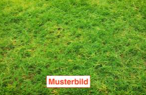 Thumbnail-Grundstück zu verkaufen in München 1.650.000,00 € 680 m²