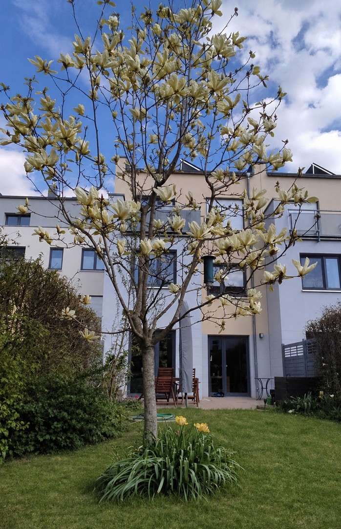 Thumbnail-Haus zum Kaufen in Leipzig 770.000,00 € 137.2 m²