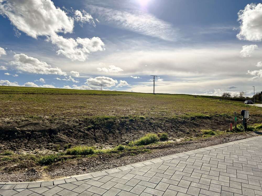 Thumbnail-Grundstück zu verkaufen in Partenheim 480.480,00 € 1001 m²