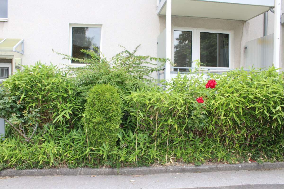 Thumbnail-Wohnung zum Kaufen in Düsseldorf 220.000,00 € 59 m²